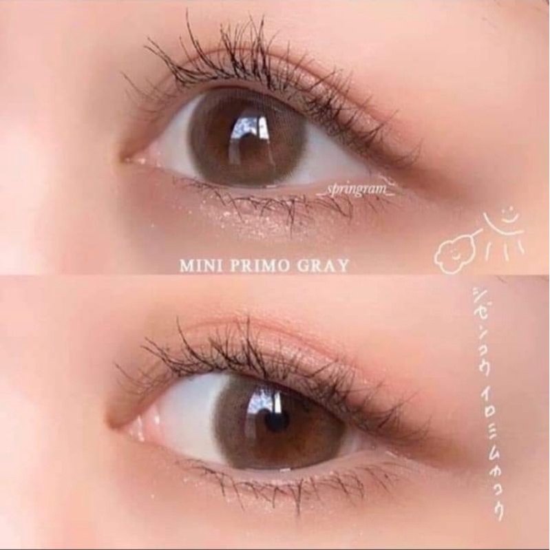 คอนแทคเลนส์-crimo-gray-mini-primo-gray-ขนาดมินิเท่าตาจริง-พร้อมส่ง-สายตาปกติ-แฟชั่น