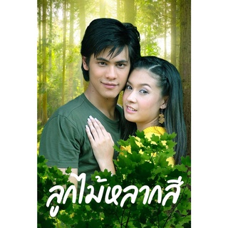 DVD ละครดังที่คิดถึง ลูกไม้หลากสี (ซี+เอมี่) 5 แผ่นจบ