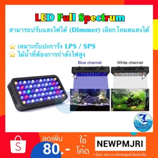 ภาพขนาดย่อของภาพหน้าปกสินค้าไฟเลี้ยงปลาทะเล และปะการัง เลี้ยงต้นไม้ LED Full spectrum 165w ปรับแสงได้ เลือก Channel ได้ จากร้าน pp.aqua บน Shopee