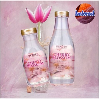 Beaver Cherry Blossom Shampoo 350/730 ml แชมพู บำรุงรากผม