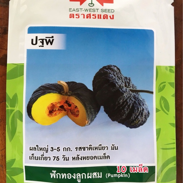 ฟักทอง-ปฐพี-ศรแดง-10-เมล็ด