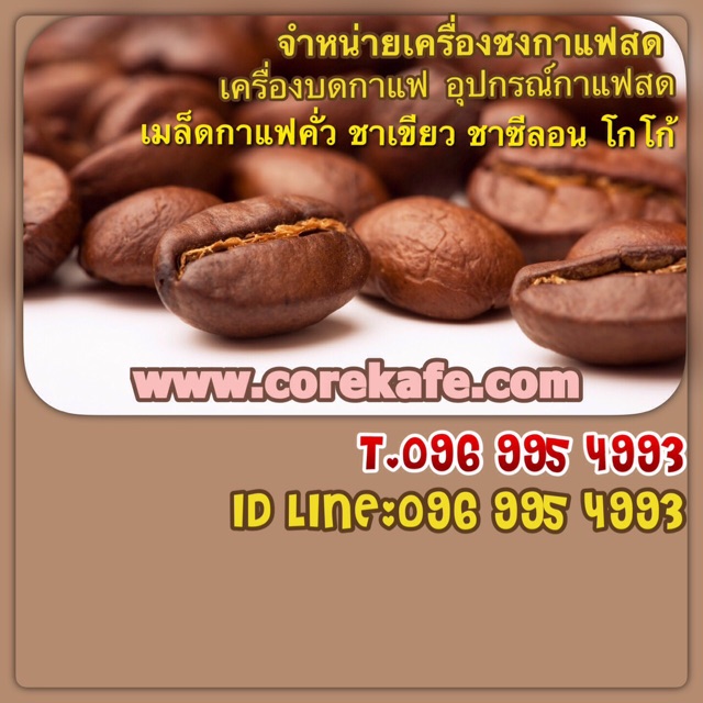 ส่งฟรี-กาแฟสดอะราบิก้าดอยช้าง-หอม-คั่วก่อนส่งทุกล๊อต-ราคาส่งโรงคั่วมาเองเพียง-มีทั้งแบบเมล็ด-แบบบด-โรงคั่วมาเอง