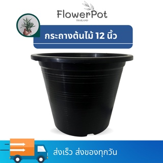 [5 ใบ] กระถางต้นไม้ 12 นิ้ว กระถางปลูกต้นไม้ สีดำ กระถางปลูกบอน