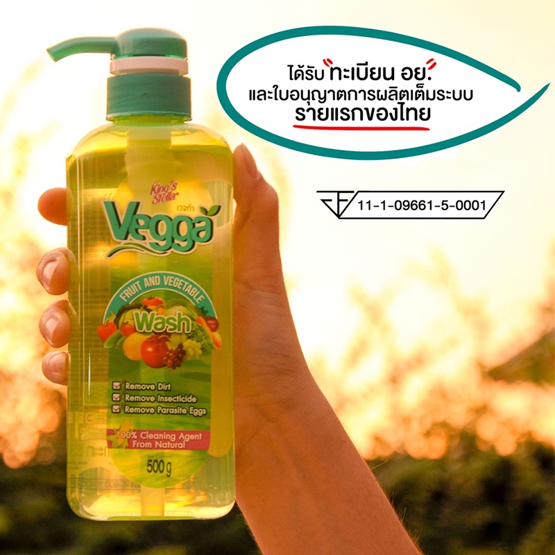 น้ำยาล้างผักและผลไม้-น้ำยาล้างสารพิษตกค้าง-ผลิตภัณฑ์ล้างผัก-ไร้สารเคมี-ปลอดภัย-ปริมาณ-250-ml-500-ml-vegga-alizwellmart