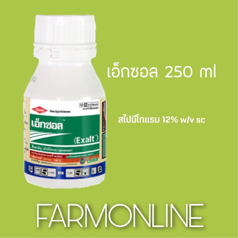 เอ็กซอล-250-ml-ยาหนอน