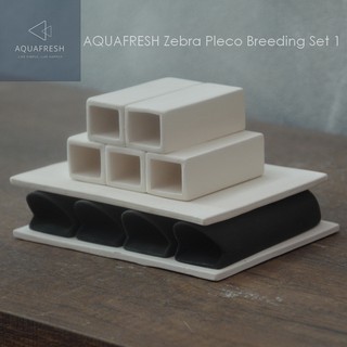 [Aquafresh] Pleco Breeding Set 1 สำหรับเพาะ Zebra Pleco (L046) หรือปลาซักเกอร์ขนาด 2-3 นิ้ว