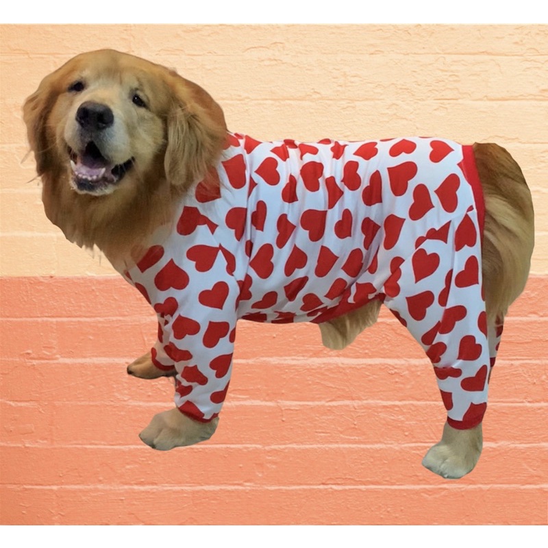 รูปภาพสินค้าแรกของชุดกันขนร่วงสุนัข เสื้อ4ขา เสื้อหมา ชุดสี่ขาน้องหมาพันธุ์ใหญ่ ตัวอ้วน สุนัขตัวโต