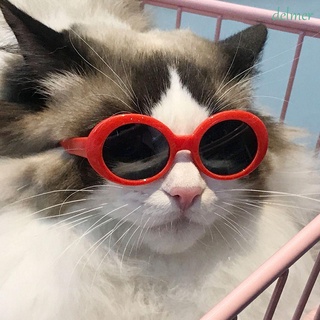 Delmer แว่นตากันแดด พลาสติก ทรงกลม สไตล์วินเทจ แฟชั่น สําหรับสัตว์เลี้ยง แมว