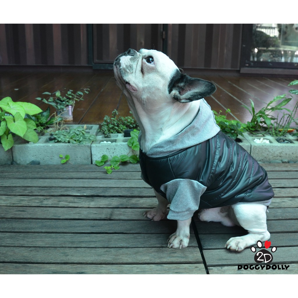 fatdog-pet-cloths-doggydolly-ชุดกันหนาว-ชุดหมาอ้วน-เฟร้น-ปั๊ก-บีเกิ้ล-บลูด็อก-เสื้อผ้าสุนัข-เสื้อหมา-หมาอวบ-fp-w109