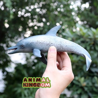 Animal Kingdom - โมเดลสัตว์ ปลาโลมา ฟ้าจุด ขนาด 20.00 CM (จากสงขลา)