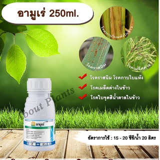 อามูเร่ 250ml. ไดฟีโนโคนาโซล+โพรพิโคนาโซล สารกำจัดเชื้อรา โรคเมล็ดด่าง โรคราสนิม โรคใบจุดสีน้ำตาล โรคกาบใบแห้ง