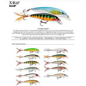 rapala-x-rap-xr-10