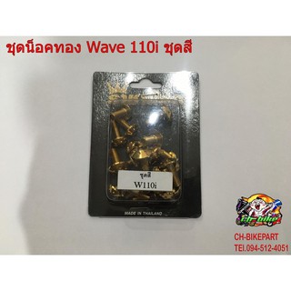 ชุดน็อตทอง Wave 110i ชุดสี ตรงรุ่น A01