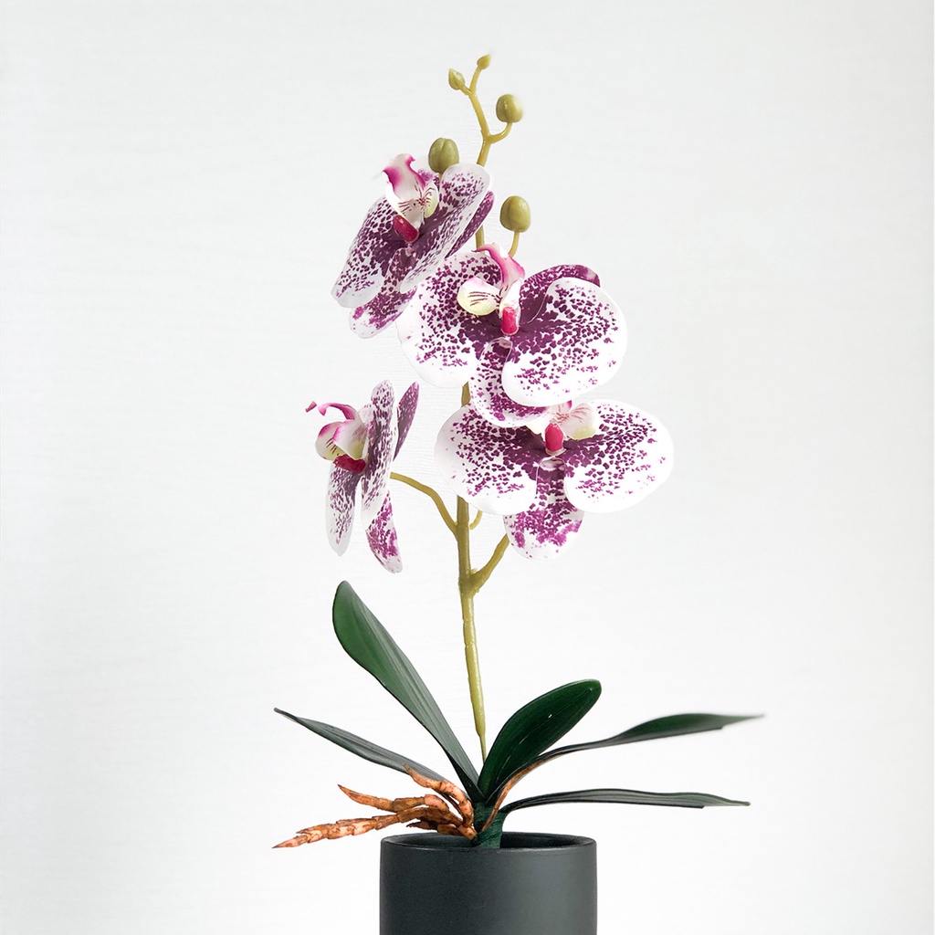 ภาพสินค้าดอกไม้ประดิษฐ์ Phalaenopsis High-End สําหรับตกแต่งบ้าน จากร้าน moshee.th บน Shopee ภาพที่ 3