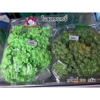 ใบสตอเบอรี่แบบผ้า 100กรัม