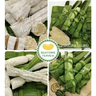 เทมเป้สดห่อใบเตย หอมอร่อย Tempeh Fresh Original ✨จำนวน10ห่อแถม1 ห่อละ50กรัม