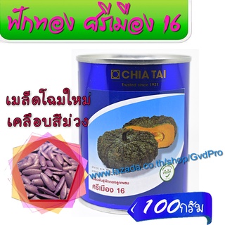 เมล็ดพันธุ์ ฟักทองลูกผสม ศรีเมือง 16 F1 เจียไต๋  ขนาด 100 กรัม