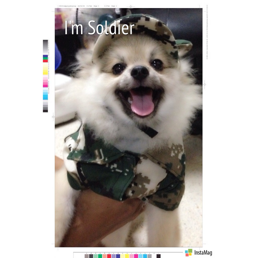 dogacat-หมวกสุนัข-หมาและแมว-หมวกมีหู-ลายทหาร-สีเขียว