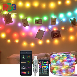 ไฟตกแต่งห้องLED Multicolor ระยะไกลบลูทูธนางฟ้า S Tring ไฟ10เมตร100Leds 5โวลต์แอดเดรสกันน้ำม่านไฟไฟคริสต์มาส ตกแต่งสวน