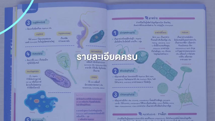 หนังสือ-tbx-คู่มือภาพชีววิทยา-visual-guide-to-biology-9786164493407