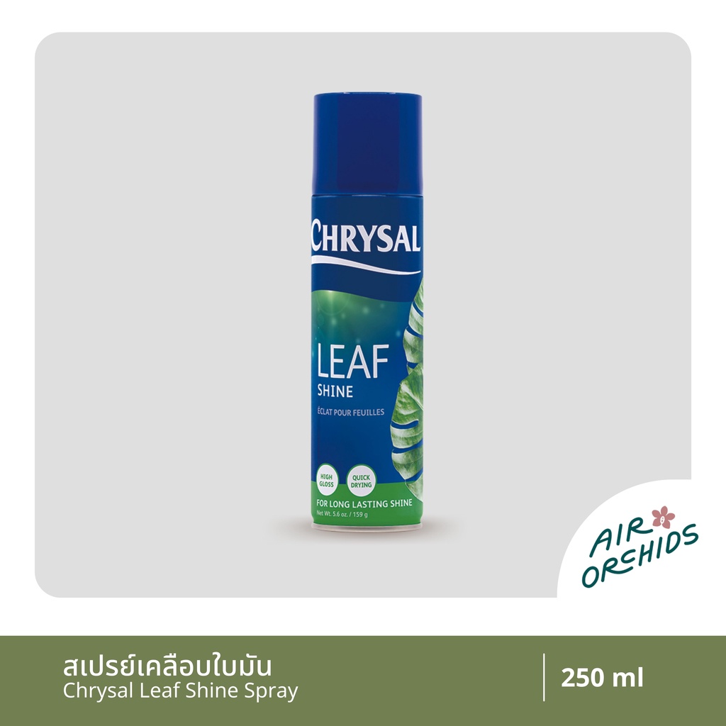 สเปรย์เคลือบใบมัน-คริสซอล-chrysal-leaf-shine-สเปรย์ที่ร้านขายต้นไม้เลือกใช้-ของแท้100