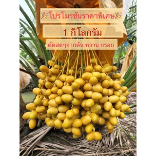 ภาพหน้าปกสินค้าอินทผาลัมสด บาฮี เนื้อเยื่อ ทานผลสด หวาน กรอบ 1 กิโลกรัม สวนในไทย ซึ่งคุณอาจชอบสินค้านี้