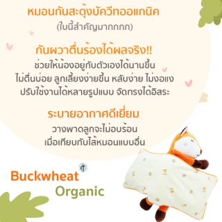 ภาพขนาดย่อของภาพหน้าปกสินค้าหมอนกันสะดุ้งบัควีทออแกนิค จากร้าน babycottons บน Shopee