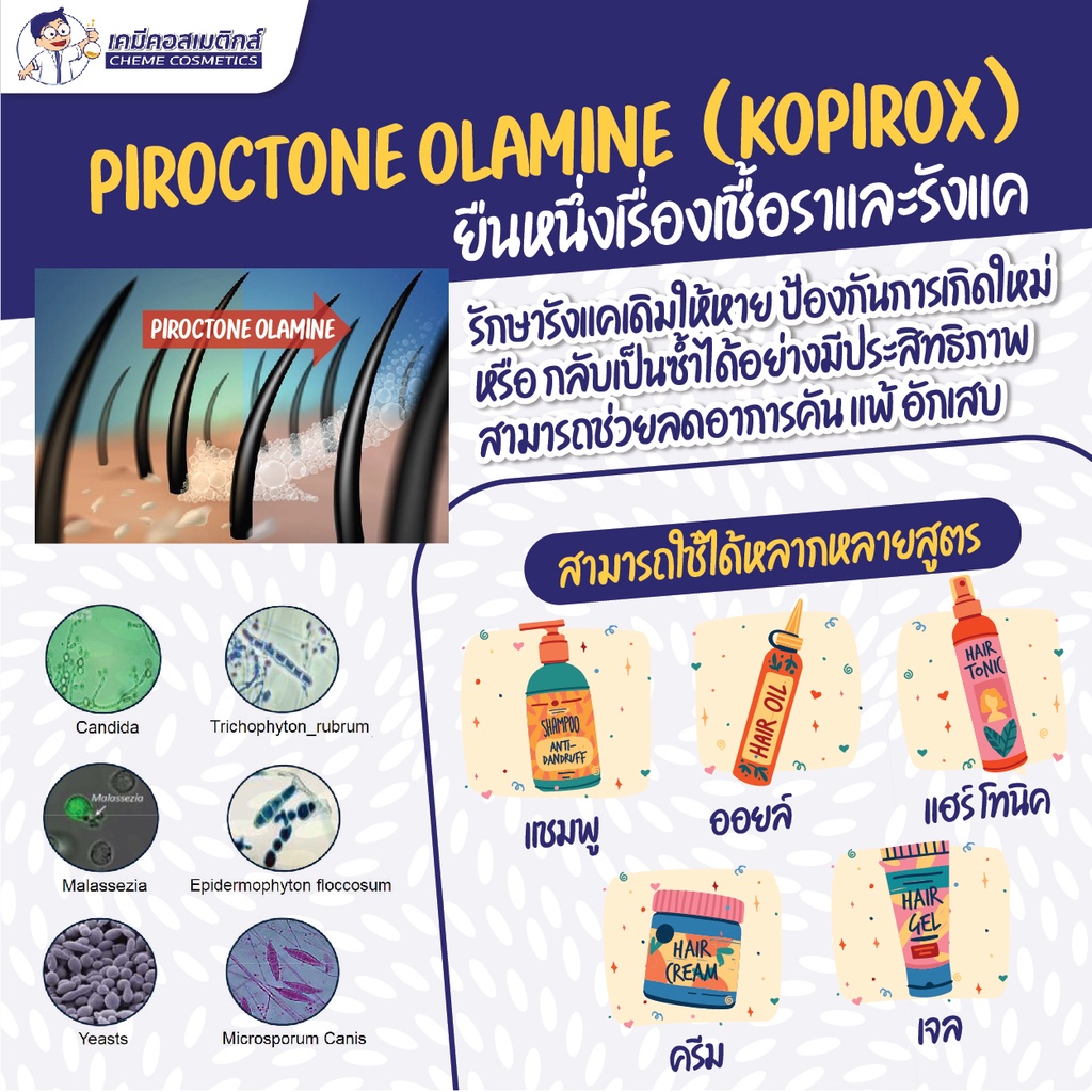 kopirox-piroctone-olamine-สารขจัดรังแค-ป้องกันรังแคและคันบนหนังศรีษะ