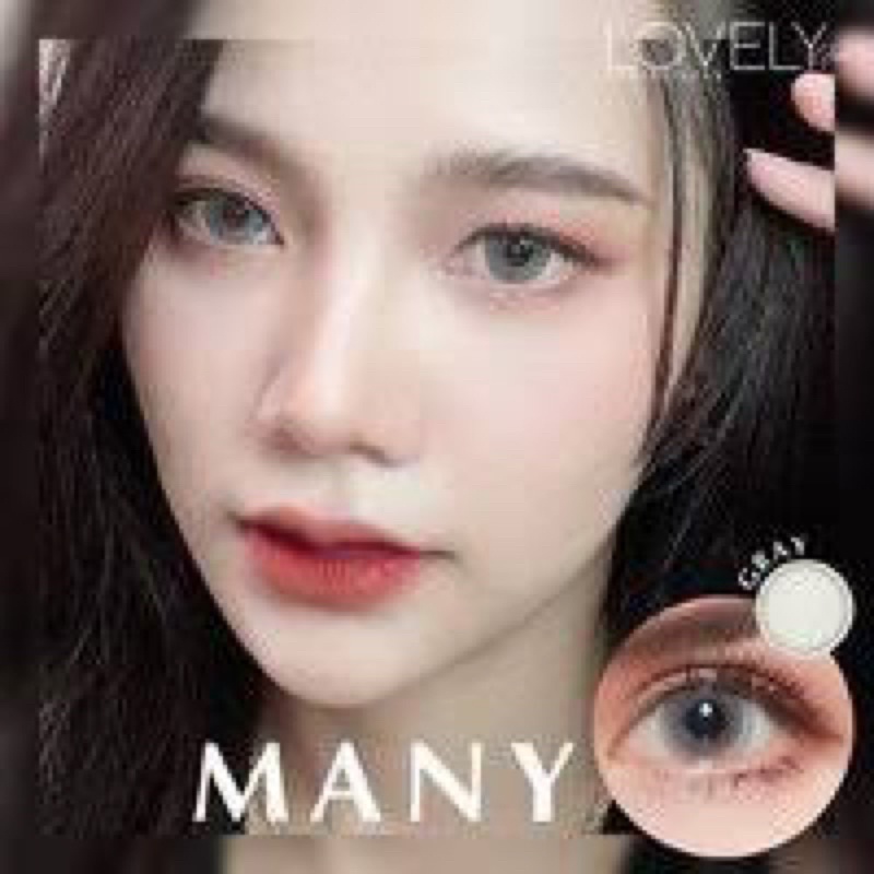 many-gray-brown-ขนาดbigeye-บิ๊กอาย-คอนแทคเลนส์-bigeyes