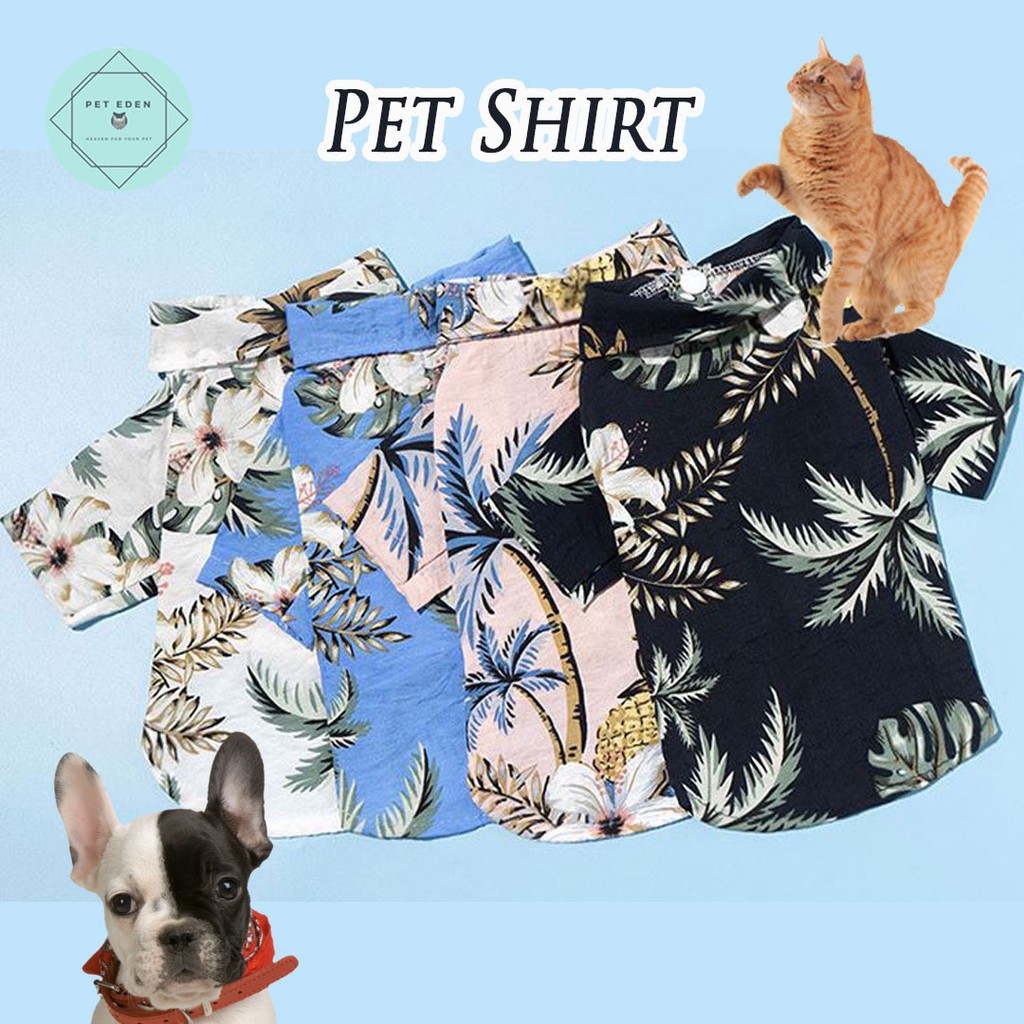 ภาพหน้าปกสินค้าHawaii Pet Shirt เสื้อเชิ้ตสัตว์เลี้ยง เสื้อหมา เสื้อแมวเสื้อเชิ้ตหมา ลายใบไม้ ดอกไม้ สัปปะรด ชุด hawaii เสื้อฮาวาย