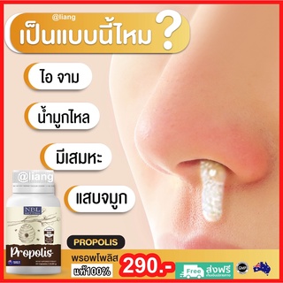 NBL(เอ็นบีแอล) Propolist โพรโพลิสเข้มข้นสูง 300mg. แก้ภูมิแพ้ หอบหืด ไซนัส สร้างภูมิคุ้มกัน  แก้สิว ลดอักเสบ ส่งฟรี