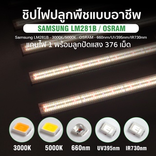 ภาพขนาดย่อของภาพหน้าปกสินค้าพร้อมส่ง ไฟปลูกต้นไม้ 640W 800W 1000W 1200W SamsungLM281 UV LED Grow Light ไฟปลูก ไฟต้นไม้ 4โหมดสเปกตรัม หรี่แสงได้ จากร้าน 9_qu8vrlqa บน Shopee