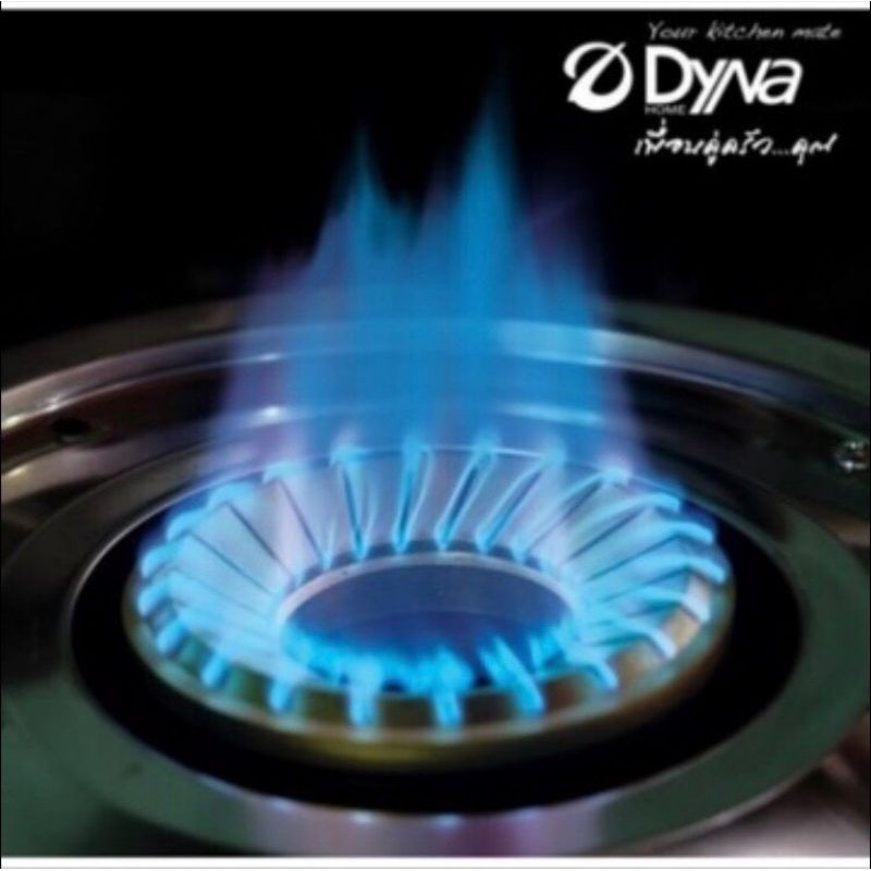 dyna-home-เตาเเก๊สหน้ากระจกนิรภัยรุ่น-dh-8734-หัวเตาทองเหลืองเเท้-รับประกัน-5-ปีเต็ม