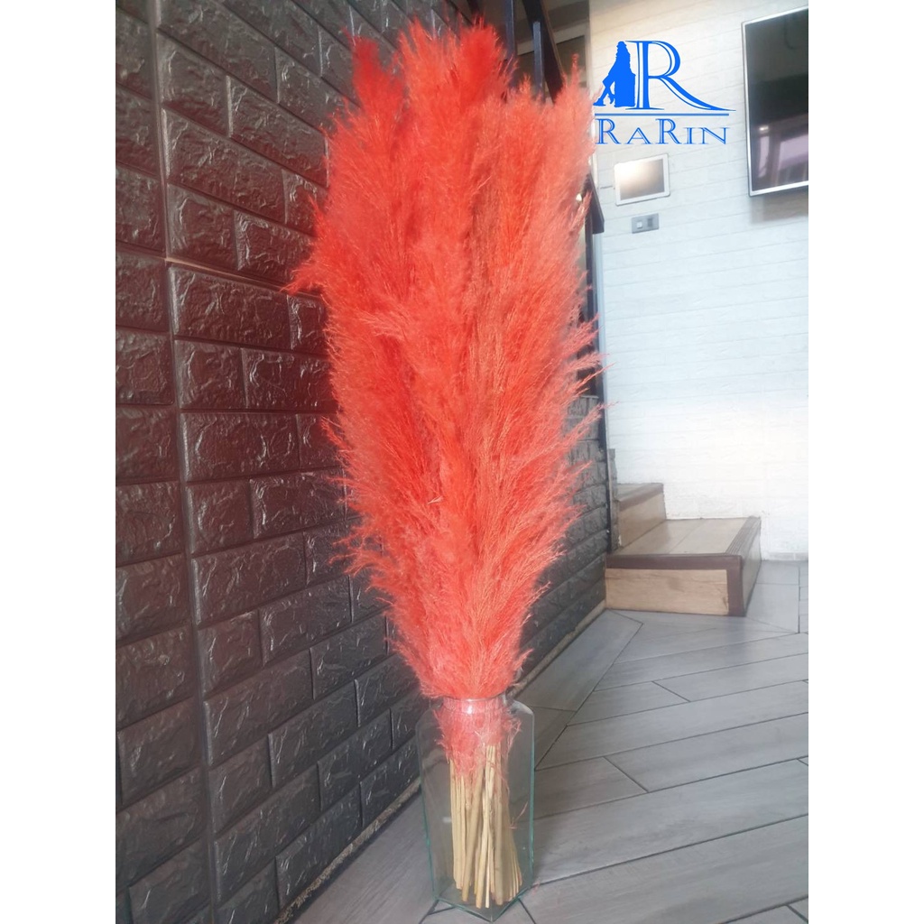 Rarin ดอกเลาย้อมสี สีส้มพีช (จำนวน 10 ก้านเล็ก) ขนาด 90 cm.รวมก้าน ก้าน ...