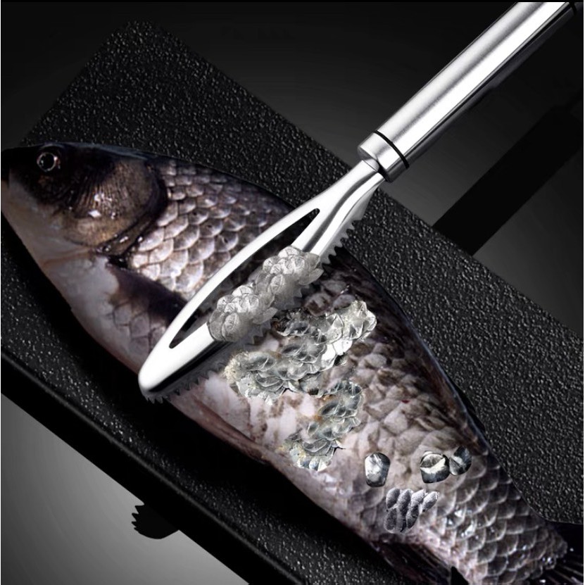 ภาพหน้าปกสินค้าที่ขูดเกล็ดปลา ที่ขอดเกล็ดปลา ไม้ขอดเกล็ด สแตนเลส C136