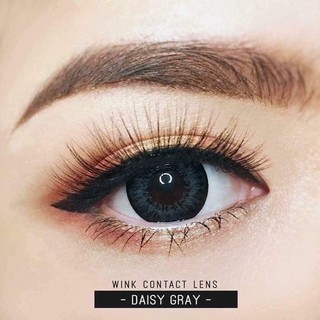 Daisy Gray (2) Daizy Gray / Kiwi Gray บิ๊กอาย สีเทา ตาโต โทนแบ๊ว ตัดขอบดำ Contact Lens คอนแทคเลนส์ ค่าสายตา สายตาสั้น
