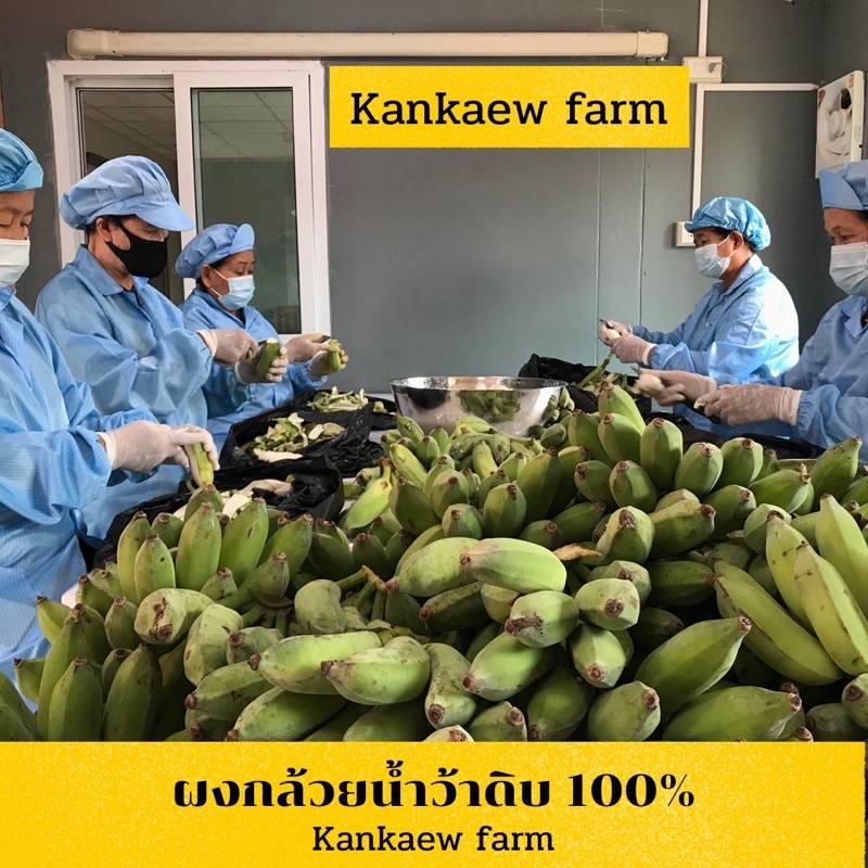 ภาพหน้าปกสินค้าผงกล้วยดิบ ผงกล้วยน้ำว้าดิบ 100% ไม่ผสมเปลือก 100g,200g,500g รักษาแผ จากร้าน pong.91 บน Shopee