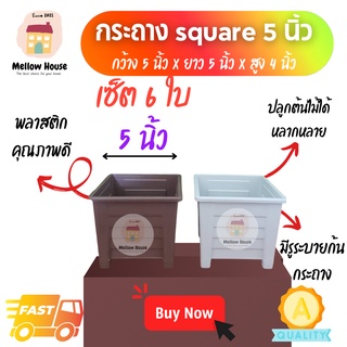 ภาพขนาดย่อของภาพหน้าปกสินค้า(เซ็ต 6 ใบ)​ กระถาง​square 5 นิ้ว​ กระถางต้นไม้สีเหลี่ยม​ คุณภาพดี​ ดีไซน์สวย จากร้าน mellowhouse.shop บน Shopee