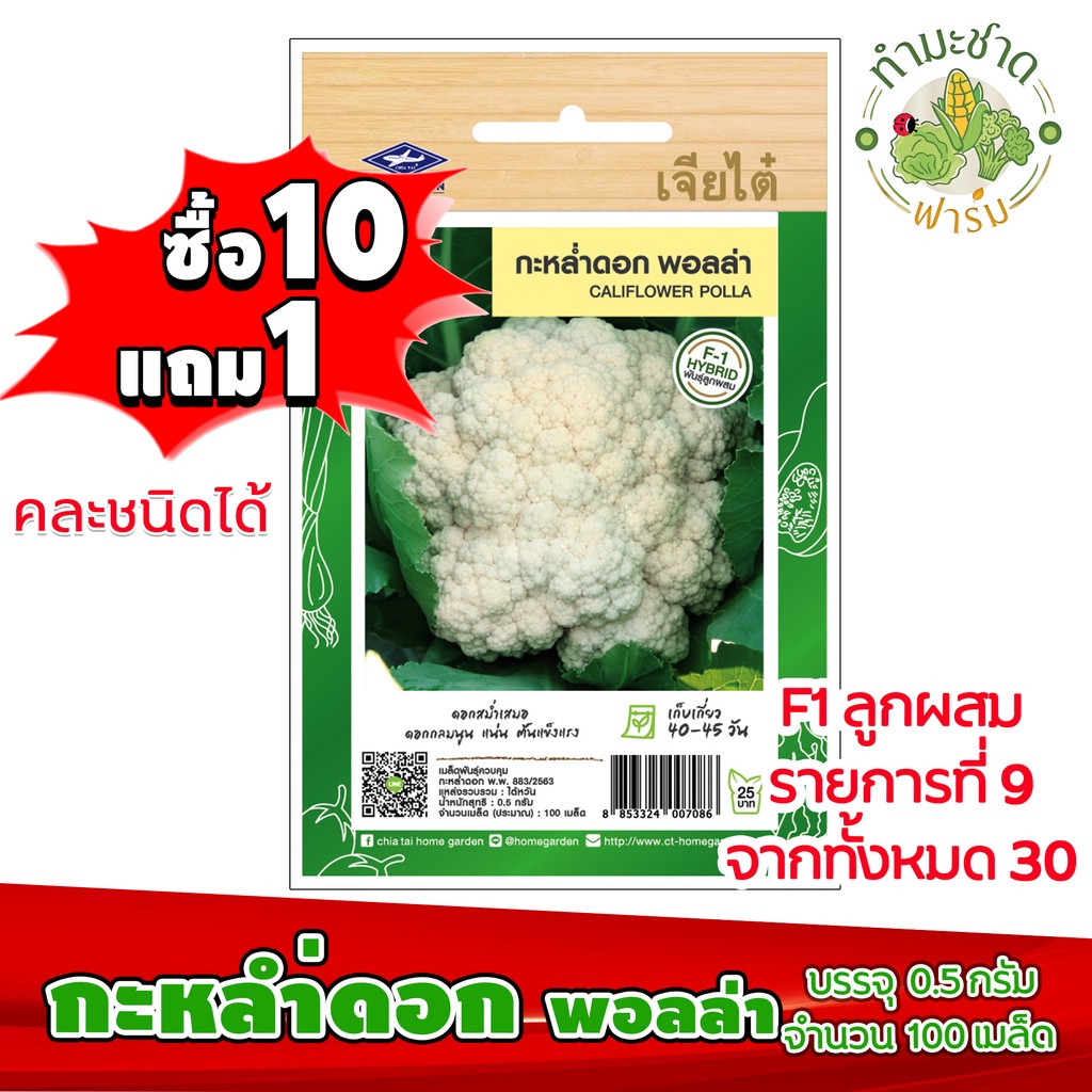 เมล็ดพันธุ์ผัก-เจียไต๋-กะหล่ำดอก-พอลล่า-ประมา-เมล็ด-เมล็ดพันธุ์ผักสวนครัว-นี่มันเมล็ดพืช-ไม่ใช่พืช