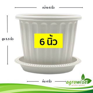 สินค้า กระถางต้นไม้ กระถางต้นไม้พลาสติก กระถางโรมัน จานรองกระถางต้นไม้ 6 นิ้ว