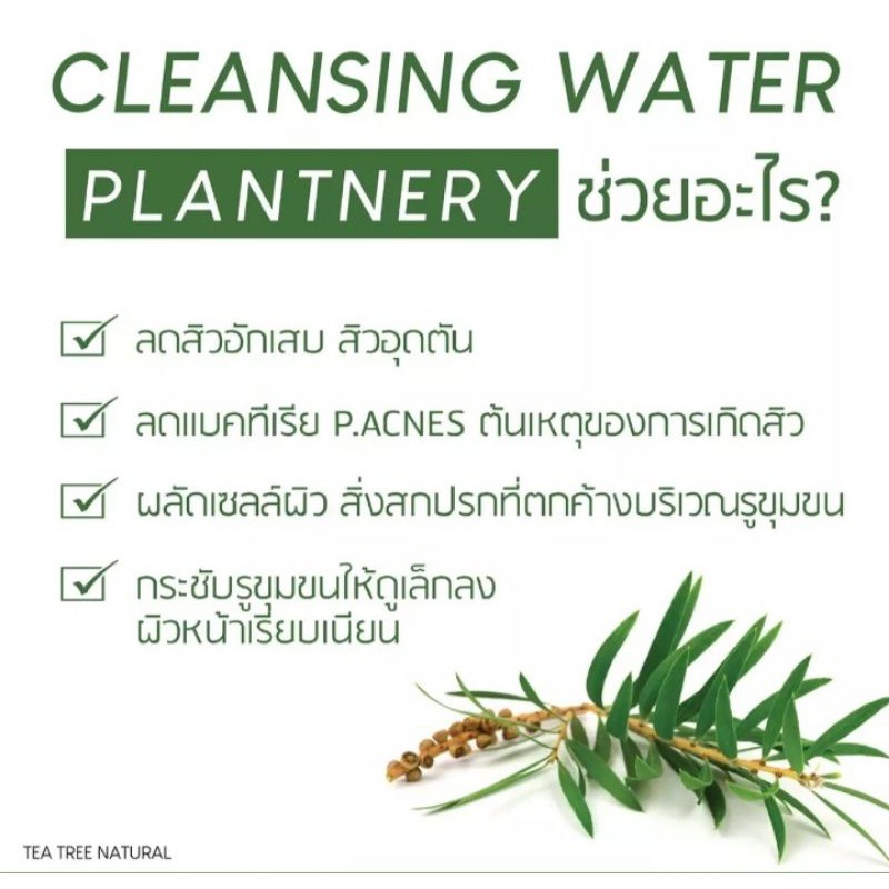 ที-ทรี-คลีนซิ่ง-plantnery-tea-tree-cleansing-water-ที-ทรี-คลีนซิ่ง-เช็ดทำความสะอาด-300ml