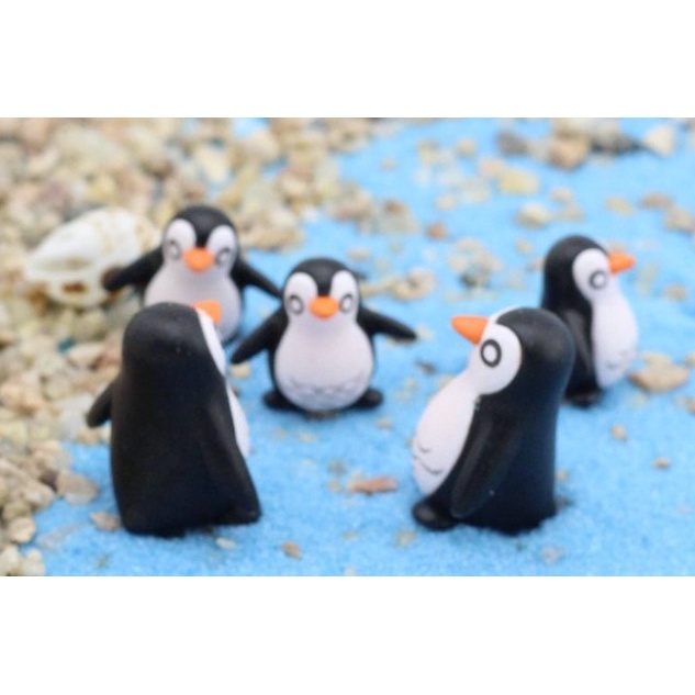 เพนกวินน้อยน่ารัก-ตุ๊กตาแต่งกระถางแต่งในโหล-เพนกวินตัวเล็กตัวน้อยเพนกวินนน-มาเลยจ้า-พร้อมส่งจ้าาส่งจากไทยส่งไว
