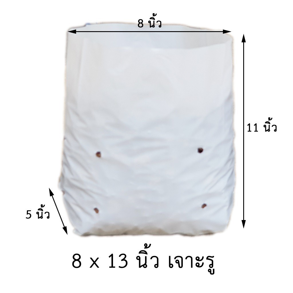 ภาพหน้าปกสินค้า(20 ใบ) คุ้มราคา ถุงปลูกเมล่อน มะเขือเทศ ขนาด 8x13 นิ้ว เจาะรู (B001.2 8x13 เจาะรู 20 ใบ) จากร้าน thaigardenmate บน Shopee