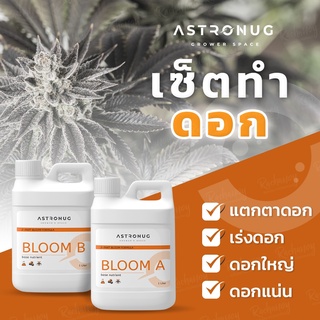 Astronug Nutrient BLOOM A + BLOOM B ปุ๋ยกัญชา ปุ๋ยทำดอก เร่งแตกตาดอก ปุ๋ยน้ำสูตรเข้มข้น คุณภาพสูง สูตรจากอเมริกา