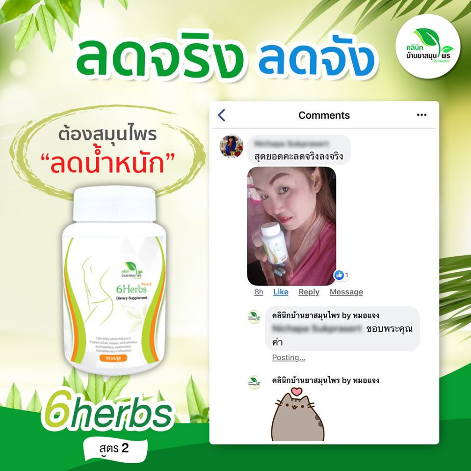 โปรเดือน-5-6herbs-plus2-สมุนไพรลดน้ำหนักสำหรับบุคคลทั่วไป-ลดยาก-ธาตุหนัก-ดื้อยา