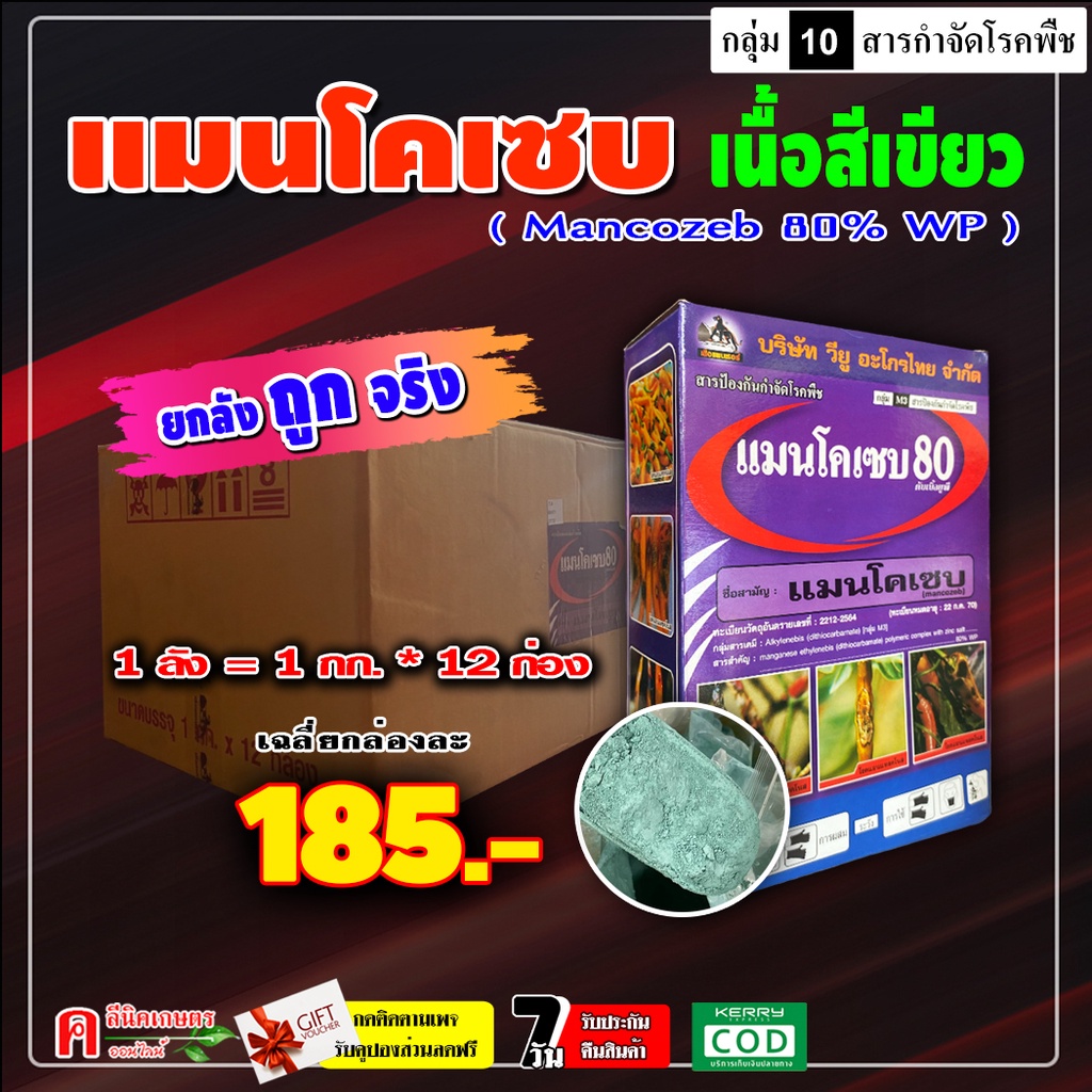 ขายยกลัง-กล่องม่วง-แมนโคเซบ-เนื้อเสีเขียว-12-kg-แมนโคเซป-สารป้องกันและกำจัดเชื้อรา-โรคพืชต่าง-ๆ-ได้มากมาย