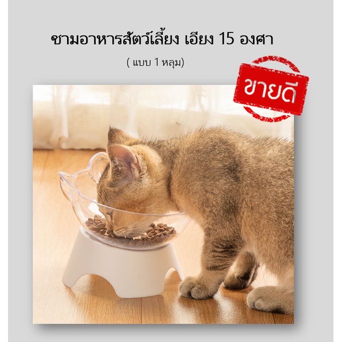ภาพหน้าปกสินค้าABC cat BL028 ชามอาหารสัตว์เลี้ยง ชามอาหารแมว ชามอาหารสุนัข