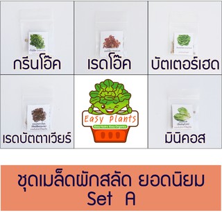 ชุดเมล็ดผักสลัด ยอดนิยม set A