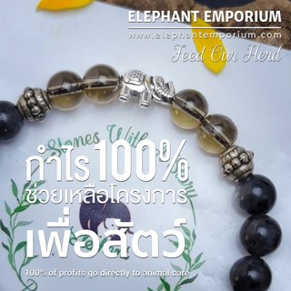 #FOH กำไลหินมงคลแท้ กำไร 100% เพื่อช่วยเหลือสัตว์