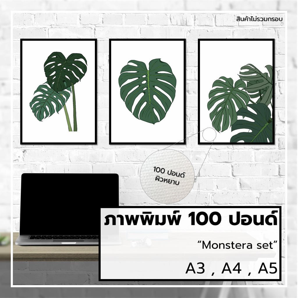 ภาพวาด-ภาพตกแต่ง-รูปตกแต่ง-monstera-มอนสเตอร่า-ใบไม้-กราฟฟิก-กระดาษ100ปอนด์-a3-a4-a5-ภาพพิมพ์-ตกแต่งผนัง